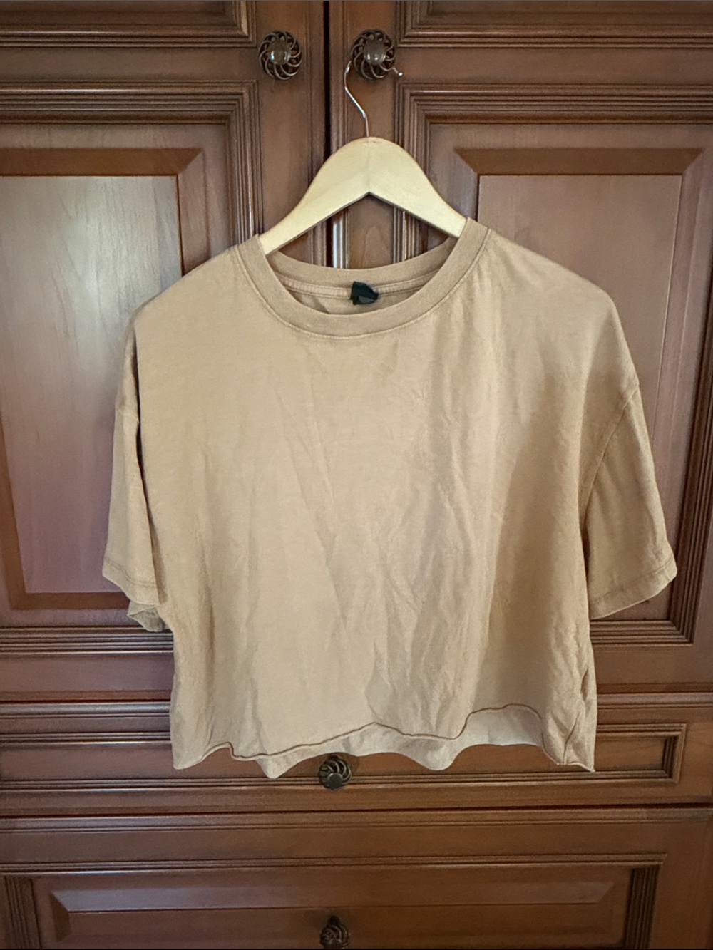wild fable Cropped Tee in Tan
